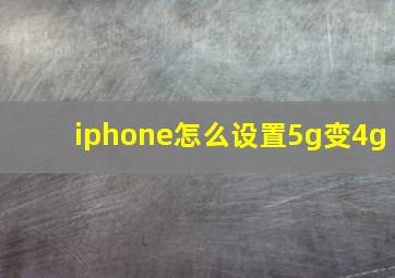 iphone怎么设置5g变4g