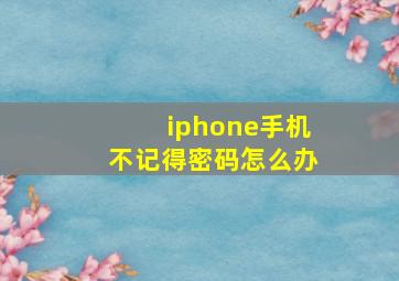 iphone手机不记得密码怎么办