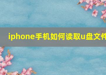 iphone手机如何读取u盘文件