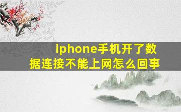 iphone手机开了数据连接不能上网怎么回事