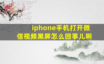 iphone手机打开微信视频黑屏怎么回事儿啊