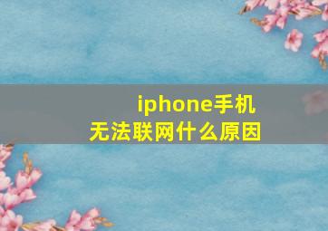 iphone手机无法联网什么原因