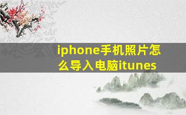 iphone手机照片怎么导入电脑itunes