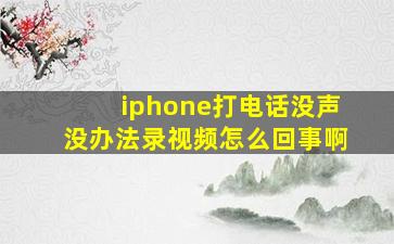 iphone打电话没声没办法录视频怎么回事啊