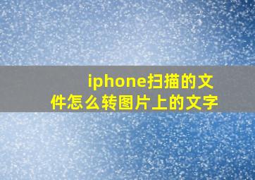 iphone扫描的文件怎么转图片上的文字