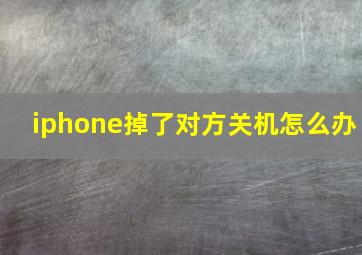 iphone掉了对方关机怎么办