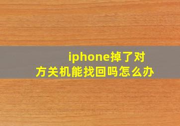 iphone掉了对方关机能找回吗怎么办