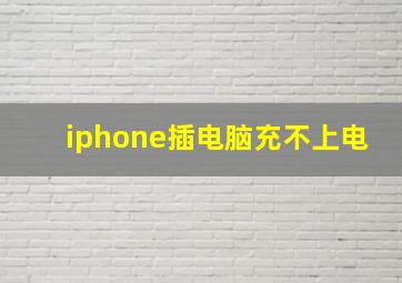 iphone插电脑充不上电