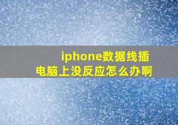 iphone数据线插电脑上没反应怎么办啊