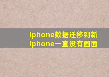 iphone数据迁移到新iphone一直没有画面