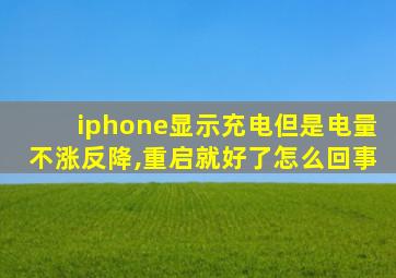 iphone显示充电但是电量不涨反降,重启就好了怎么回事