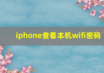 iphone查看本机wifi密码