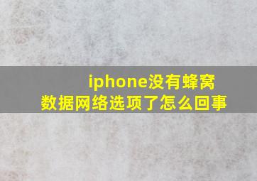 iphone没有蜂窝数据网络选项了怎么回事