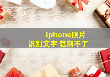 iphone照片识别文字 复制不了