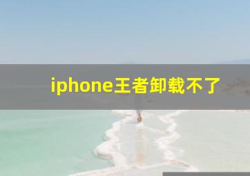 iphone王者卸载不了