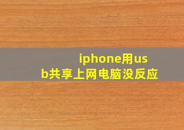 iphone用usb共享上网电脑没反应