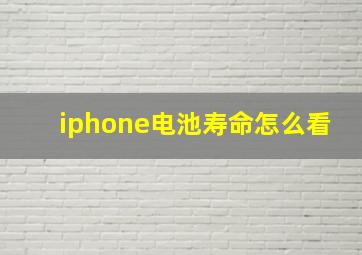 iphone电池寿命怎么看