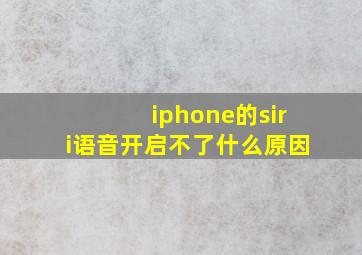 iphone的siri语音开启不了什么原因