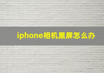 iphone相机黑屏怎么办