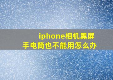 iphone相机黑屏手电筒也不能用怎么办