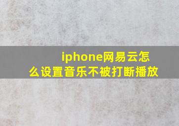 iphone网易云怎么设置音乐不被打断播放