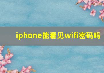 iphone能看见wifi密码吗