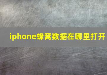 iphone蜂窝数据在哪里打开