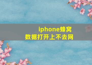 iphone蜂窝数据打开上不去网