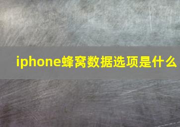 iphone蜂窝数据选项是什么