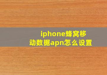 iphone蜂窝移动数据apn怎么设置