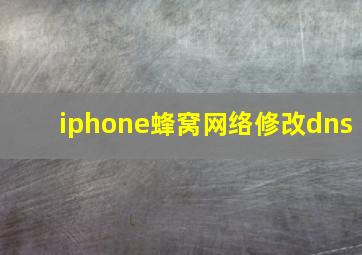 iphone蜂窝网络修改dns