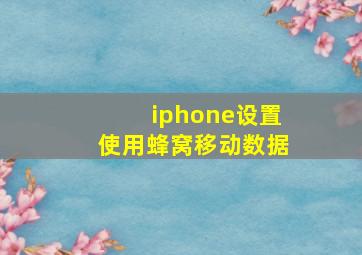 iphone设置使用蜂窝移动数据