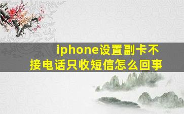 iphone设置副卡不接电话只收短信怎么回事