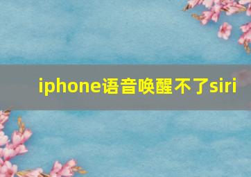 iphone语音唤醒不了siri