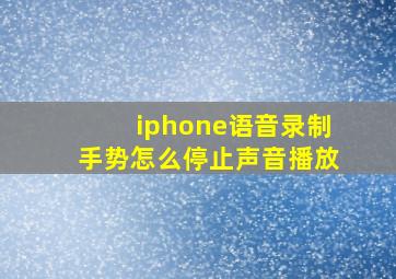 iphone语音录制手势怎么停止声音播放