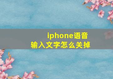 iphone语音输入文字怎么关掉