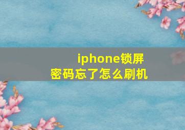 iphone锁屏密码忘了怎么刷机