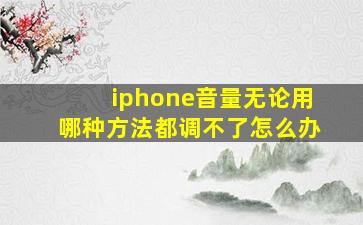 iphone音量无论用哪种方法都调不了怎么办