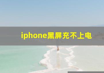 iphone黑屏充不上电