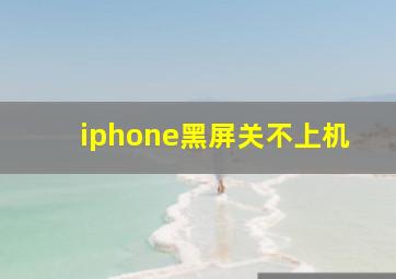 iphone黑屏关不上机