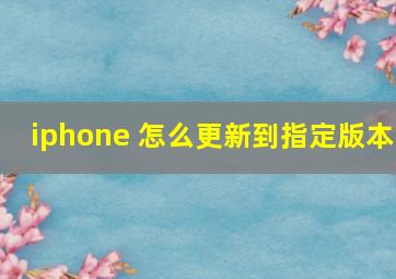 iphone 怎么更新到指定版本