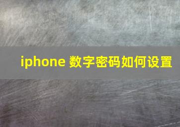 iphone 数字密码如何设置