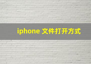 iphone 文件打开方式