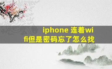 iphone 连着wifi但是密码忘了怎么找