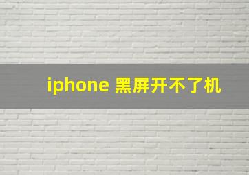 iphone 黑屏开不了机