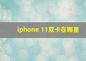 iphone 11双卡在哪里