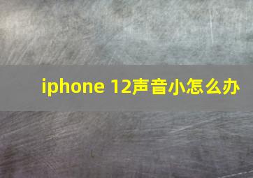 iphone 12声音小怎么办