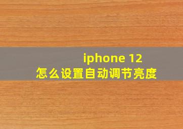 iphone 12怎么设置自动调节亮度