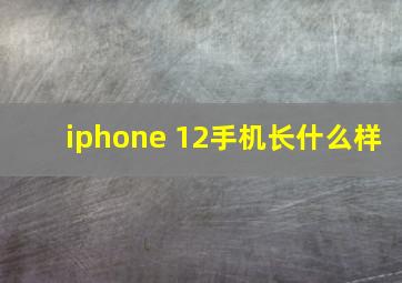 iphone 12手机长什么样