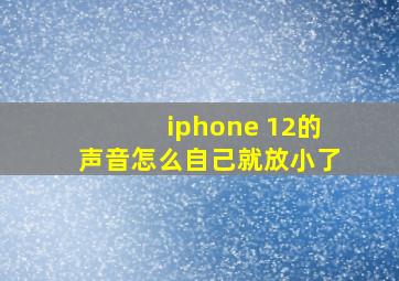 iphone 12的声音怎么自己就放小了